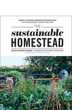 The Sustainable Homestead