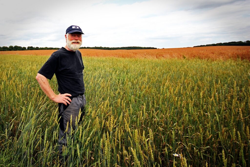 farmer, grain, food-657333.jpg