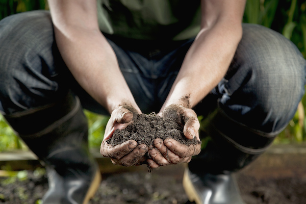 Hands in the soil